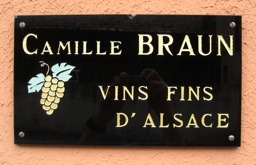 Camille Braun