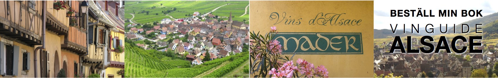 Alsace druvor