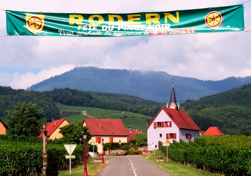 alsace vin